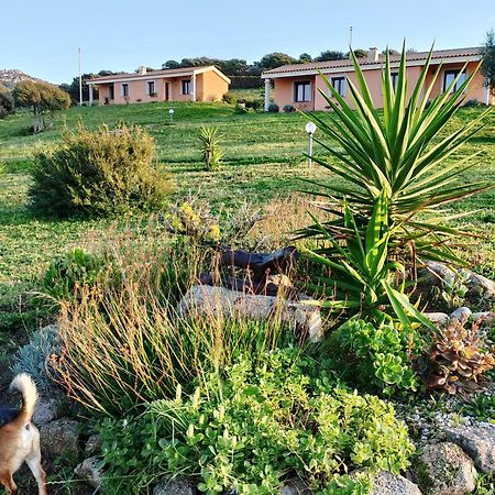 Agriturismo Gli Olivastri Appartamento Corbezzolo Con Piscina E Vista Mare,Climatizzatore,Wifi Aglientu Exteriér fotografie